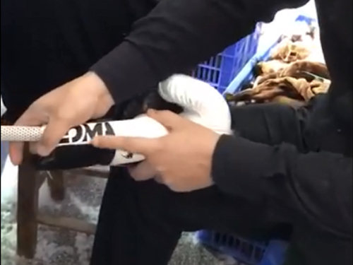 充棉拳击手套